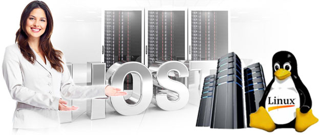 linux web hosting server